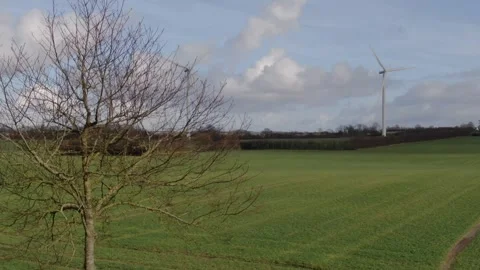 Windmill and tree setting in Denmark, green energy, environment sustainability Stock-Footage 272306639