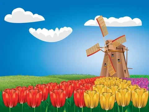 Windmill and Tulips Stock Illustration
