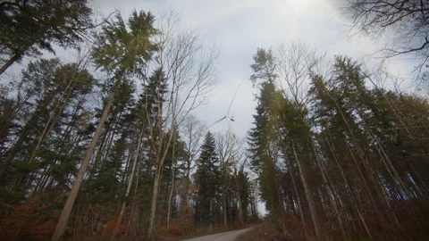 Windmill in a autumn forest frog's-eye view 4k Stock Footage 146757652