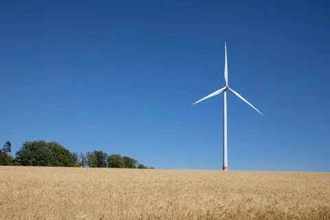 Windmill behind a yellow field Stock Photos