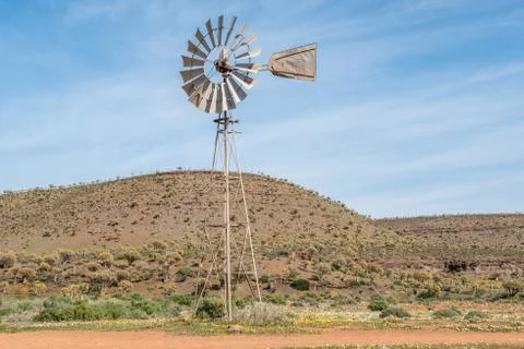 Windmill between wild flowers with thousands of quiver trees in Fotos Stock