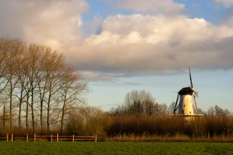Windmill the Butterfly Stock Photos