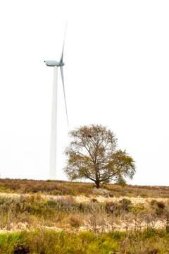 Windmill in the countryside Stock Photos