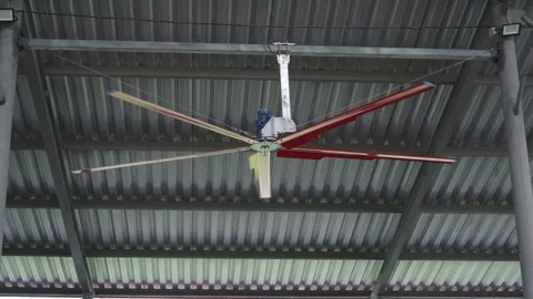 A windmill on a cow farm Stock Footage 247318005