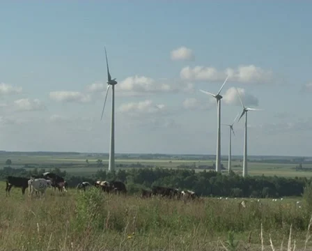 Windmill cow graze Stock Footage 10816022