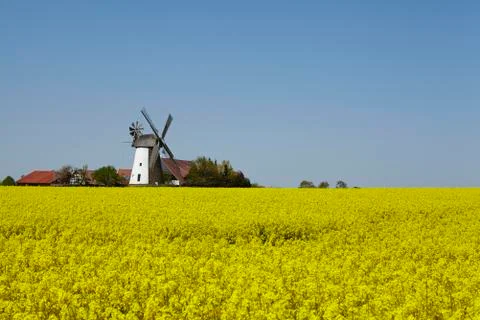 Windmill Eickhorst (Hille) Stock Photos