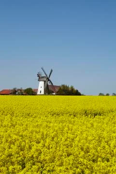 Windmill Eickhorst (Hille) Stock Photos