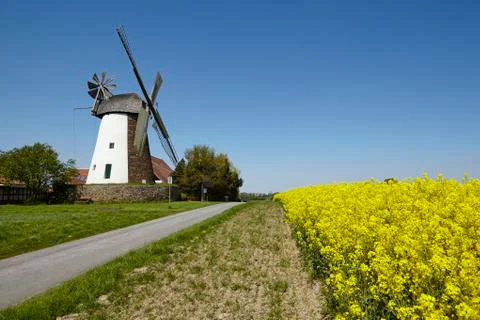 Windmill Eickhorst (Hille) Foto stock