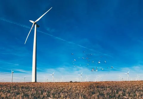 Windmill farm in the field Stock Photos