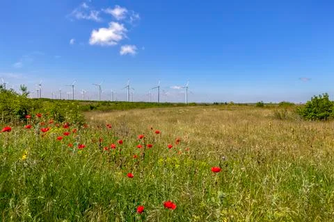 Windmill farm. Stock Photos