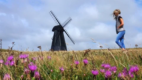 Windmill on a field of dry grass and fuchsia flowers Stock Footage 124913204