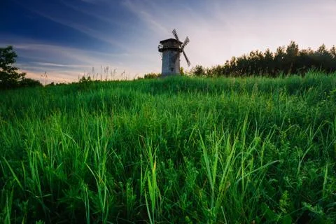 Windmill on a field with flowers Stock Photos