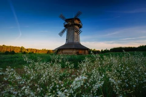 Windmill on a field with flowers Stock Photos