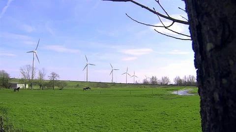 Windmill field Stock Footage 98680158