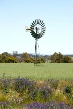 Windmill in a Field Foto stock
