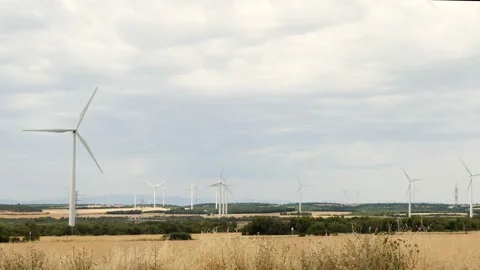 Windmill field. Renewable energy, wind energy Stock Footage 231726038