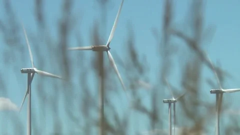 Windmill field shallow racking focus with zoom out Stock Footage 73896580