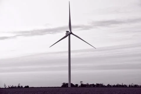 Windmill in a field at sunset day 库存照片