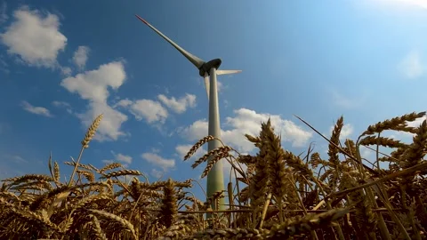 Windmill in a field, view from the ground to the spinning blades of a windmill Stock Footage 181133222