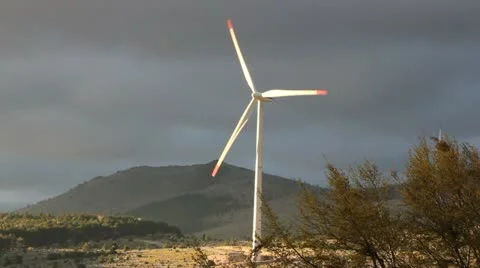 Windmill 動画素材 10898797