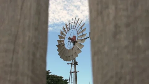 Windmill 動画素材 133062601