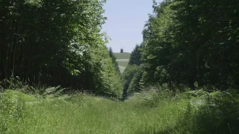 Windmill Stock Footage 140194276
