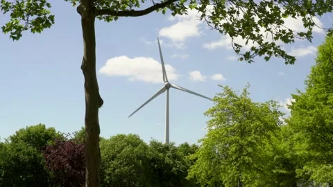 Windmill Video stock 142213594