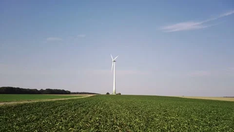 Windmill Vidéo 152523013