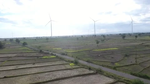 Windmill Video stock 213507801