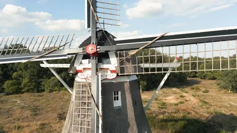 Windmill forest area Video stock 273698292