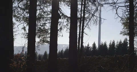 Windmill forest pan winter Video stock 87550799