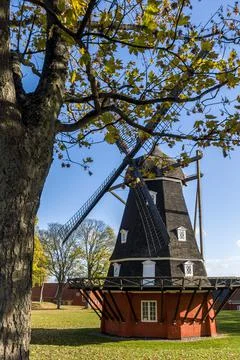 The windmill, framed by tree branches. Stock Photos