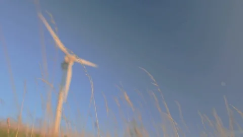 Windmill, green gras in front. Stock Footage 85564174