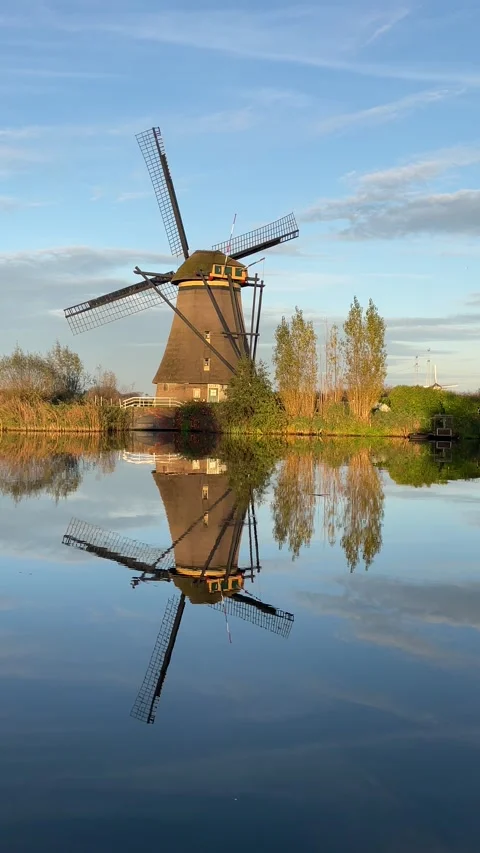 A windmill with its reflection in the water at kinderdijk Video stock 295361483