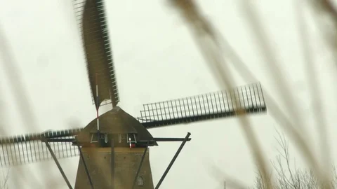 Windmill at Kinderdijk 8 Video stock 86754516