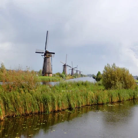 Windmill in Kinderdijk, Holland Stock Footage 69550427