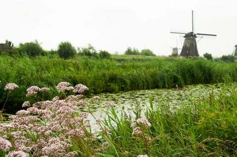 Windmill at kinderdijk, netherlands Stock Photos