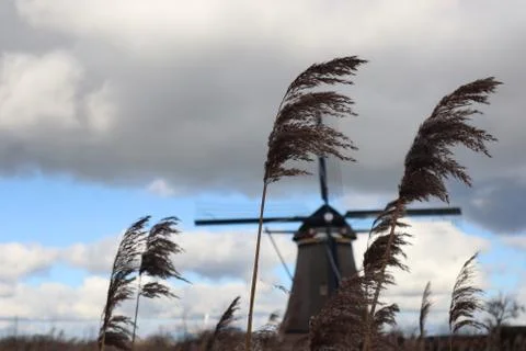Windmill of kinderdijk , netherlands Stock Photos