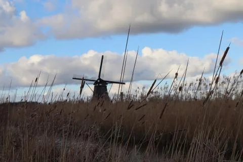 Windmill of kinderdijk , netherlands Stock Photos