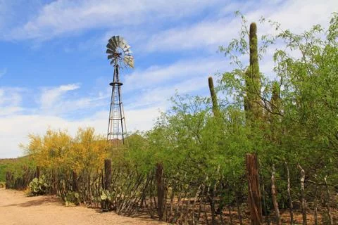 Windmill on La Posta Quemada Ranch in Colossal Cave Mountain Park Foto stock