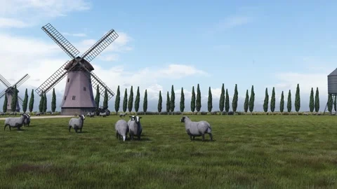 Windmill landscape and flock of sheep Stock Footage 223610799