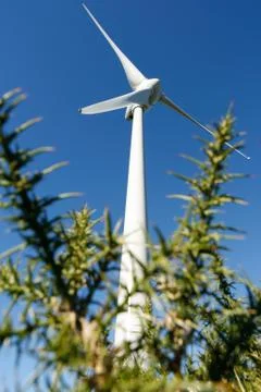 Windmill landscape - Stock image Stock Photos