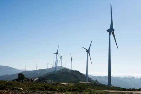 Windmill landscape - Stock image Stock Photos