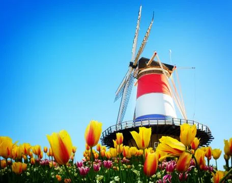 Windmill of Leiden Stock Photos