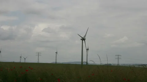 Windmill - meadow - poppies Видео 39582175