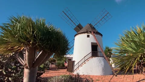 Windmill at the Museo del Queso Majorero 库存影片 239928187