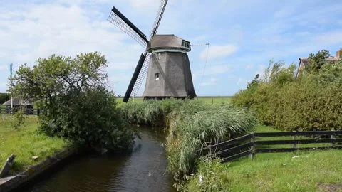 Windmill in North Holland Stock Footage 265550696