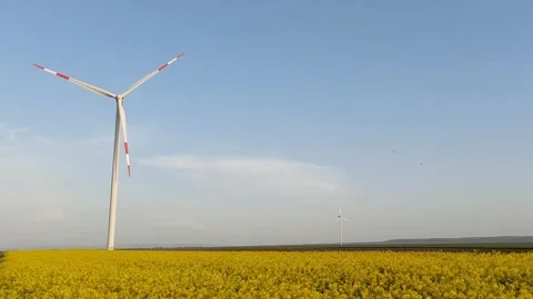 Windmill in an Oilseed Rape Field Video stock 307236547