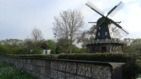 Windmill old and insect wood houses  Stock Footage