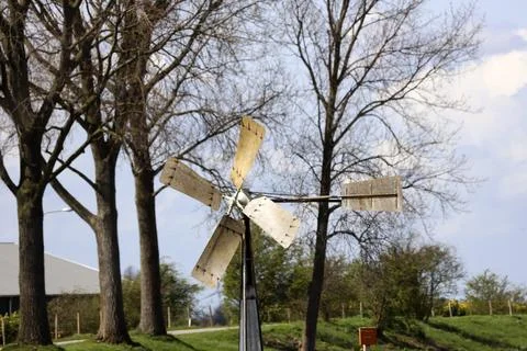 Windmill old style between flower bulb fields in Goeree Stock Photos
